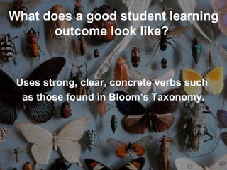 Uses strong, clear, concrete verbs such  as those found in Bloom’s Taxonomy. What does a good student learning outcome look like?   