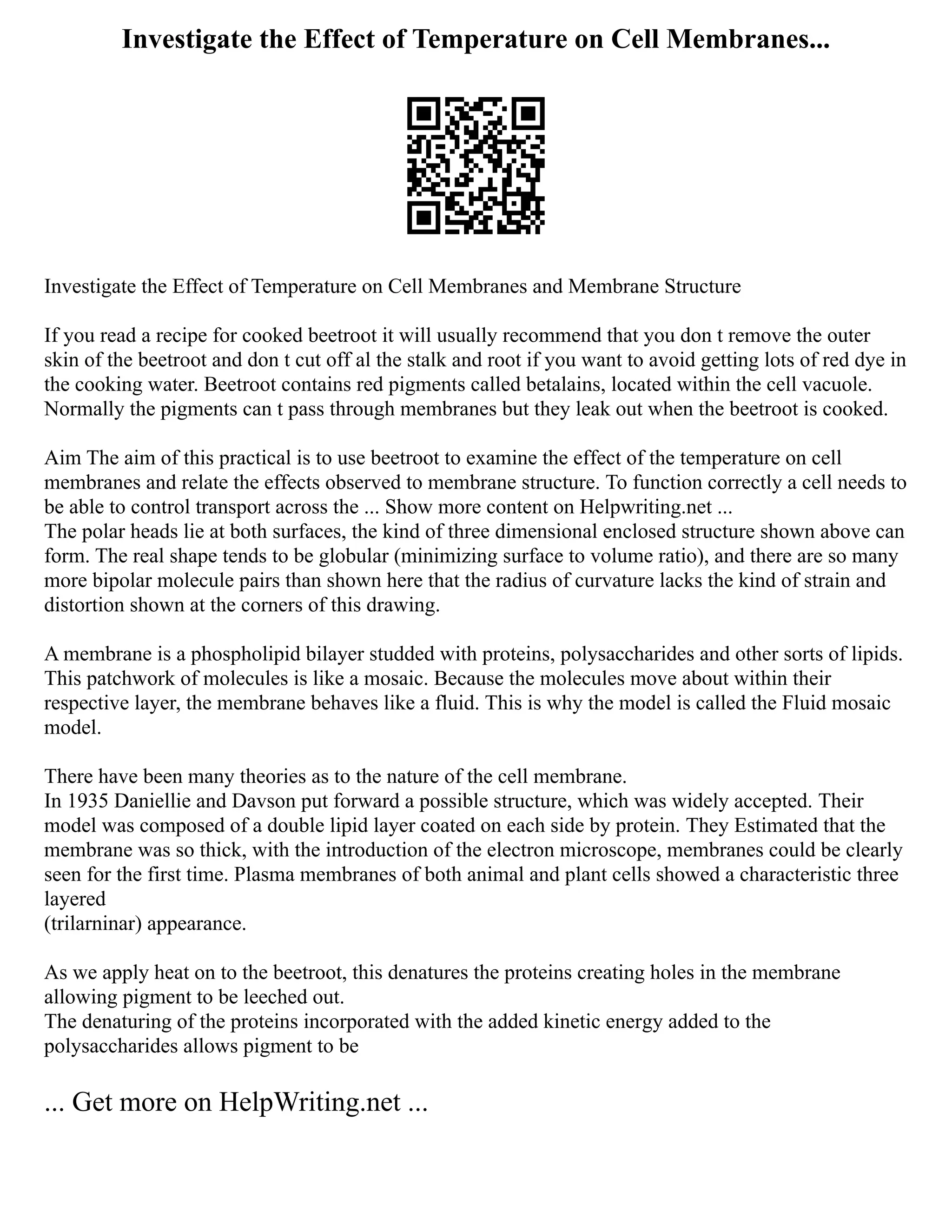 Investigate the Effect of Temperature on Cell Membranes...
Investigate the Effect of Temperature on Cell Membranes and Membrane Structure
If you read a recipe for cooked beetroot it will usually recommend that you don t remove the outer
skin of the beetroot and don t cut off al the stalk and root if you want to avoid getting lots of red dye in
the cooking water. Beetroot contains red pigments called betalains, located within the cell vacuole.
Normally the pigments can t pass through membranes but they leak out when the beetroot is cooked.
Aim The aim of this practical is to use beetroot to examine the effect of the temperature on cell
membranes and relate the effects observed to membrane structure. To function correctly a cell needs to
be able to control transport across the ... Show more content on Helpwriting.net ...
The polar heads lie at both surfaces, the kind of three dimensional enclosed structure shown above can
form. The real shape tends to be globular (minimizing surface to volume ratio), and there are so many
more bipolar molecule pairs than shown here that the radius of curvature lacks the kind of strain and
distortion shown at the corners of this drawing.
A membrane is a phospholipid bilayer studded with proteins, polysaccharides and other sorts of lipids.
This patchwork of molecules is like a mosaic. Because the molecules move about within their
respective layer, the membrane behaves like a fluid. This is why the model is called the Fluid mosaic
model.
There have been many theories as to the nature of the cell membrane.
In 1935 Daniellie and Davson put forward a possible structure, which was widely accepted. Their
model was composed of a double lipid layer coated on each side by protein. They Estimated that the
membrane was so thick, with the introduction of the electron microscope, membranes could be clearly
seen for the first time. Plasma membranes of both animal and plant cells showed a characteristic three
layered
(trilarninar) appearance.
As we apply heat on to the beetroot, this denatures the proteins creating holes in the membrane
allowing pigment to be leeched out.
The denaturing of the proteins incorporated with the added kinetic energy added to the
polysaccharides allows pigment to be
... Get more on HelpWriting.net ...
 