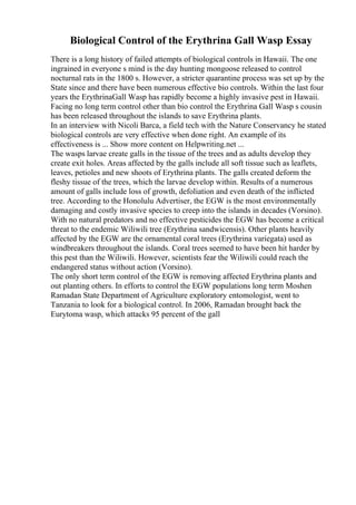 Biological Control of the Erythrina Gall Wasp Essay
There is a long history of failed attempts of biological controls in Hawaii. The one
ingrained in everyone s mind is the day hunting mongoose released to control
nocturnal rats in the 1800 s. However, a stricter quarantine process was set up by the
State since and there have been numerous effective bio controls. Within the last four
years the ErythrinaGall Wasp has rapidly become a highly invasive pest in Hawaii.
Facing no long term control other than bio control the Erythrina Gall Wasp s cousin
has been released throughout the islands to save Erythrina plants.
In an interview with Nicoli Barca, a field tech with the Nature Conservancy he stated
biological controls are very effective when done right. An example of its
effectiveness is ... Show more content on Helpwriting.net ...
The wasps larvae create galls in the tissue of the trees and as adults develop they
create exit holes. Areas affected by the galls include all soft tissue such as leaflets,
leaves, petioles and new shoots of Erythrina plants. The galls created deform the
fleshy tissue of the trees, which the larvae develop within. Results of a numerous
amount of galls include loss of growth, defoliation and even death of the inflicted
tree. According to the Honolulu Advertiser, the EGW is the most environmentally
damaging and costly invasive species to creep into the islands in decades (Vorsino).
With no natural predators and no effective pesticides the EGW has become a critical
threat to the endemic Wiliwili tree (Erythrina sandwicensis). Other plants heavily
affected by the EGW are the ornamental coral trees (Erythrina variegata) used as
windbreakers throughout the islands. Coral trees seemed to have been hit harder by
this pest than the Wiliwili. However, scientists fear the Wiliwili could reach the
endangered status without action (Vorsino).
The only short term control of the EGW is removing affected Erythrina plants and
out planting others. In efforts to control the EGW populations long term Moshen
Ramadan State Department of Agriculture exploratory entomologist, went to
Tanzania to look for a biological control. In 2006, Ramadan brought back the
Eurytoma wasp, which attacks 95 percent of the gall
 