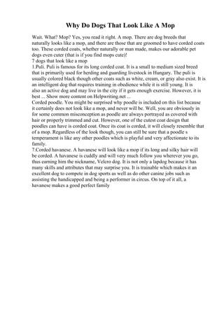 Why Do Dogs That Look Like A Mop
Wait. What? Mop? Yes, you read it right. A mop. There are dog breeds that
naturally looks like a mop, and there are those that are groomed to have corded coats
too. These corded coats, whether naturally or man made, makes our adorable pet
dogs even cuter (that is if you find mops cute)!
7 dogs that look like a mop
1.Puli. Puli is famous for its long corded coat. It is a small to medium sized breed
that is primarily used for herding and guarding livestock in Hungary. The puli is
usually colored black though other coats such as white, cream, or gray also exist. It is
an intelligent dog that requires training in obedience while it is still young. It is
also an active dog and may live in the city if it gets enough exercise. However, it is
best ... Show more content on Helpwriting.net ...
Corded poodle. You might be surprised why poodle is included on this list because
it certainly does not look like a mop, and never will be. Well, you are obviously in
for some common misconception as poodle are always portrayed as covered with
hair or properly trimmed and cut. However, one of the cutest coat design that
poodles can have is corded coat. Once its coat is corded, it will closely resemble that
of a mop. Regardless of the look though, you can still be sure that a poodle s
temperament is like any other poodles which is playful and very affectionate to its
family.
7.Corded havanese. A havanese will look like a mop if its long and silky hair will
be corded. A havanese is cuddly and will very much follow you wherever you go,
thus earning him the nickname, Velcro dog. It is not only a lapdog because it has
many skills and attributes that may surprise you. It is trainable which makes it an
excellent dog to compete in dog sports as well as do other canine jobs such as
assisting the handicapped and being a performer in circus. On top of it all, a
havanese makes a good perfect family
 