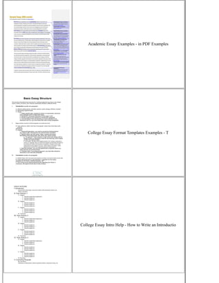 Academic Paper College Example.pdf Writing Essays For University | PDF