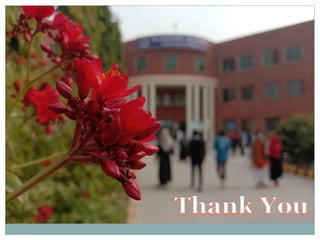 Writing Formal Letters-1.pdf .all information