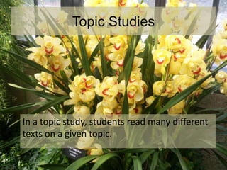 Topic Studies
In a topic study, students read many different
texts on a given topic.
 
