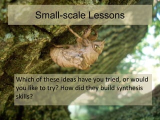 Small-scale Lessons
Which of these ideas have you tried, or would
you like to try? How did they build synthesis
skills?
 