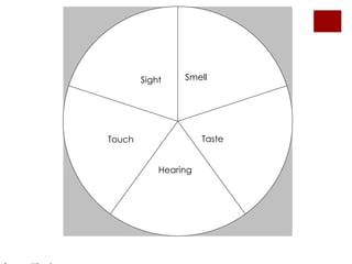 SmellSightTasteTouchHearingSensory Wheel