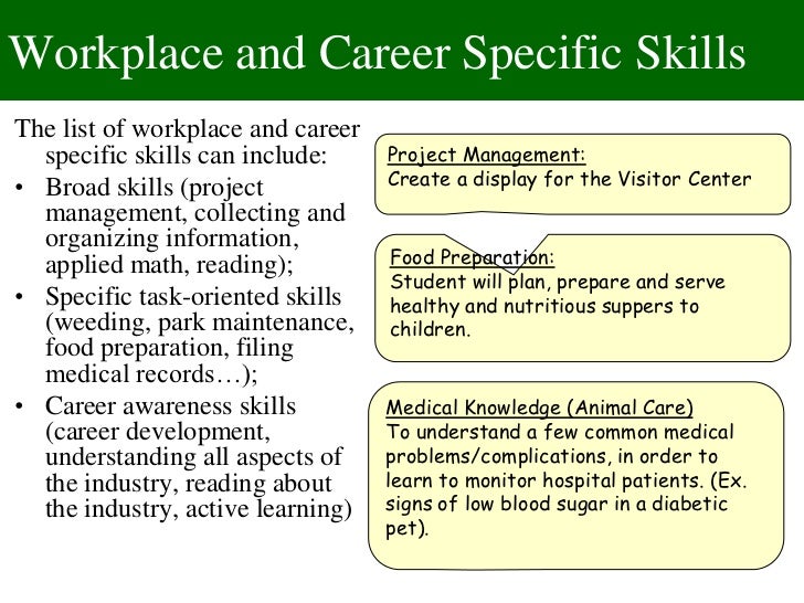 writing job descriptions_skills_tasks 1 job specific skills