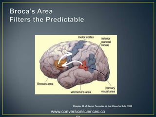 www.conversionsciences.co
Broca’s
Area
Motor
Cortex
http://www.sxc.hu/profile/craiova
 