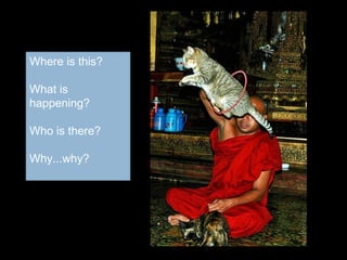 Where is this?
What is
happening?
Who is there?
Why...why?
 