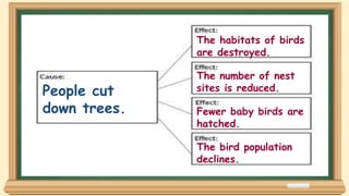 People cut
down trees.
The habitats of birds
are destroyed.
The number of nest
sites is reduced.
Fewer baby birds are
hatched.
The bird population
declines.
 