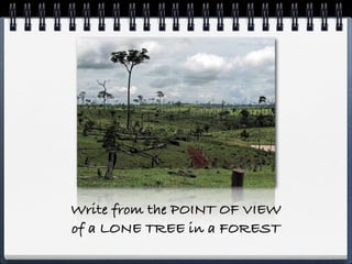 Write from the POINT OF VIEW
of a LONE TREE in a FOREST
 