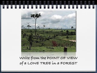 Write from the POINT OF VIEW
of a LONE TREE in a FOREST
 