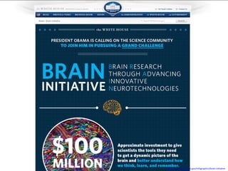 http://www.whitehouse.gov/infographics/brain-initiative
 
