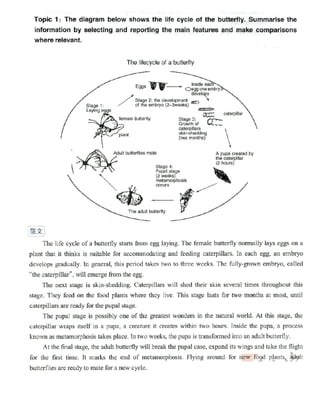 Writing task 1 Ielts