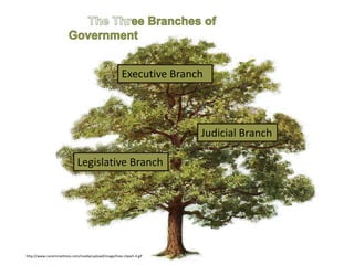 http://www.nuremmattress.com/media/upload/image/tree-clipart-4.gif
Executive Branch
Legislative Branch
Judicial Branch
 
