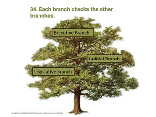 http://www.nuremmattress.com/media/upload/image/tree-clipart-4.gif
Executive Branch
Legislative Branch
Judicial Branch
 