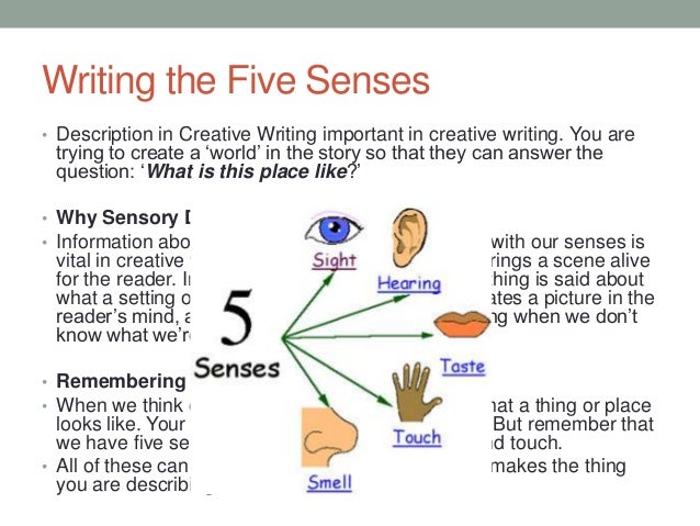 Parts of essay writing