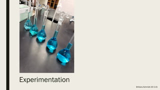 Experimentation
Brittany Schmidt (CC 2.0)
 