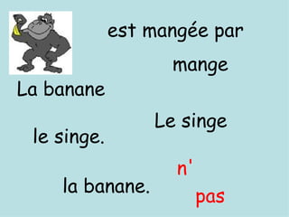 pas est mangée par Le singe mange la banane. le singe. La banane n' 