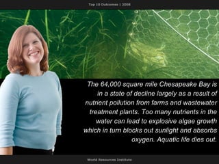 The 64,000 square mile Chesapeake Bay is in a state of decline largely as a result of nutrient pollution from farms and wastewater treatment plants. Too many nutrients in the water can lead to explosive algae growth which in turn blocks out sunlight and absorbs oxygen. Aquatic life dies out. 