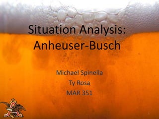 Situation Analysis:
 Anheuser-Busch
     Michael Spinella
         Ty Rosa
        MAR 351

                        1
 