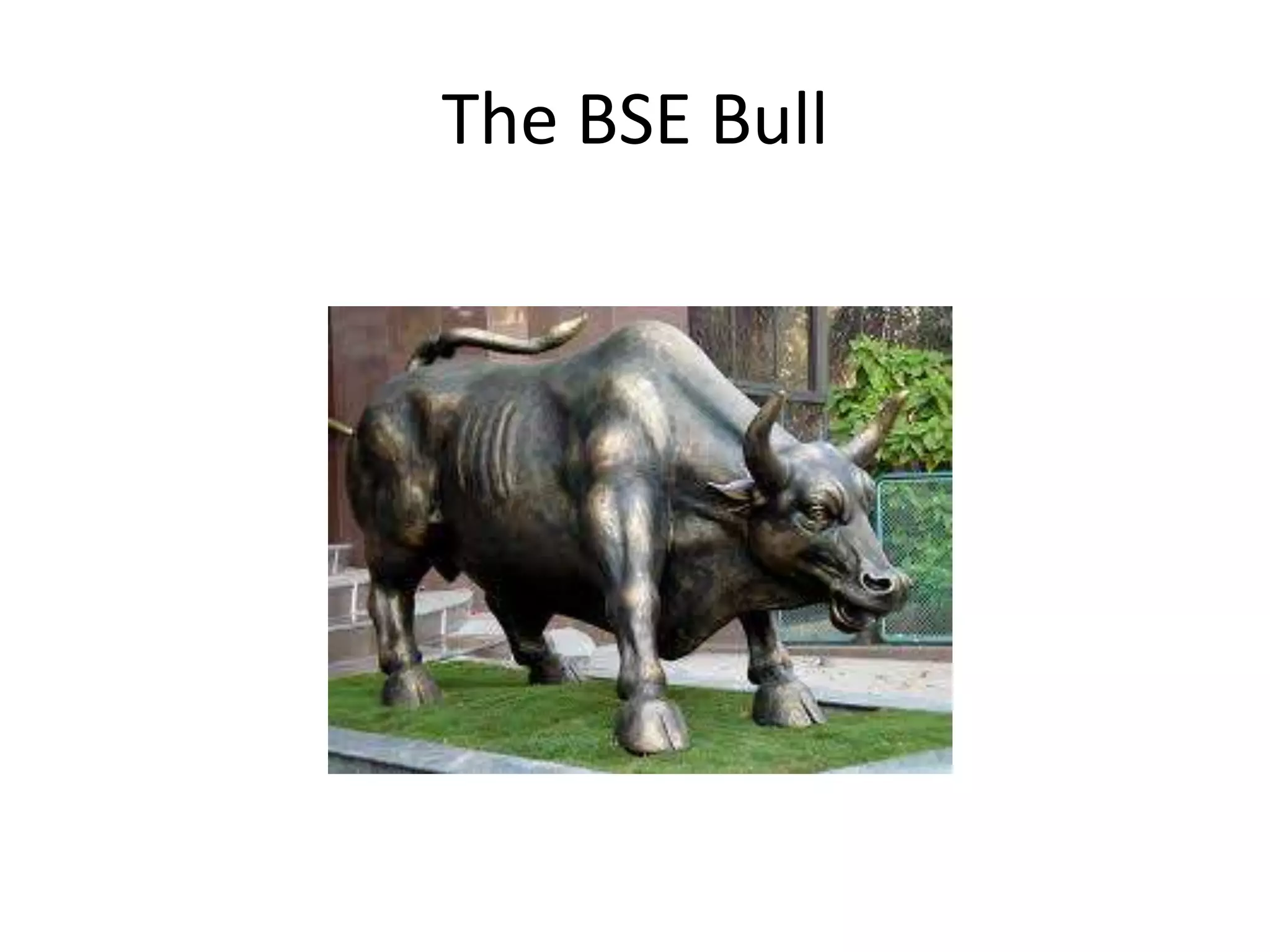 The BSE Bull
 