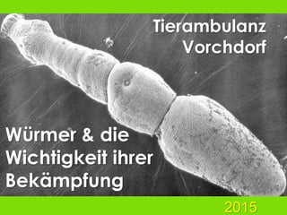 Würmer & die
Wichtigkeit ihrer
Bekämpfung
Tierambulanz
Vorchdorf
2015
 