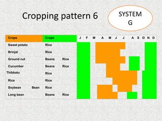 Suitable Cropping Pattern Examples Wrmg 9 cropping pattern and systems | PPT