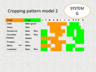 Wrmg 9 cropping pattern and systems | PPT