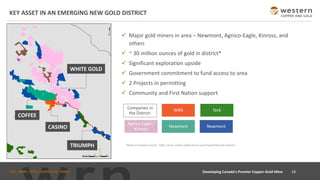 TSX : WRN I NYSE AMERICAN : WRN
KEY ASSET IN AN EMERGING NEW GOLD DISTRICT
✓ Major gold miners in area – Newmont, Agnico-Eagle, Kinross, and
others
✓ ~ 30 million ounces of gold in district*
✓ Significant exploration upside
✓ Government commitment to fund access to area
✓ 2 Projects in permitting
✓ Community and First Nation support
*Based on Company records. Coffee, Casino, Golden Saddle and Arc and Freegold Mountain deposits.
COFFEE
WHITE GOLD
CASINO
WRN
Agnico Eagle /
Kinross
Newmont
Teck
Newmont
Companies in
the District:
TRIUMPH
18Developing Canada’s Premier Copper-Gold Mine
 