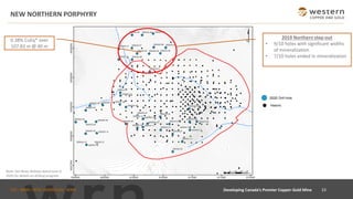 TSX : WRN I NYSE AMERICAN : WRN
NEW NORTHERN PORPHYRY
23Developing Canada’s Premier Copper-Gold Mine
2019 Northern step-out
• 9/10 holes with significant widths
of mineralization
• 7/10 holes ended in mineralization
0.38% CuEq* over
107.83 m @ 40 m
Note: See News Release dated June 4,
2020 for details on drilling program.
2020
 