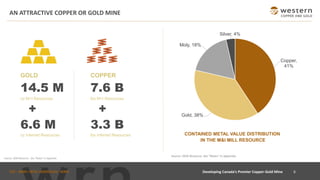 TSX : WRN I NYSE AMERICAN : WRN
AN ATTRACTIVE COPPER OR GOLD MINE
CONTAINED METAL VALUE DISTRIBUTION
IN THE M&I MILL RESOURCE
Source: 2020 Resource. See “Notes” in Appendix.
6Developing Canada’s Premier Copper-Gold Mine
GOLD
14.5 M
oz M+I Resources
+
6.6 M
oz Inferred Resources
COPPER
7.6 B
lbs M+I Resources
+
3.3 B
lbs Inferred Resources
Source: 2020 Resource. See “Notes” in Appendix
Copper,
41%
Gold, 38%
Moly, 18%
Silver, 4%
 