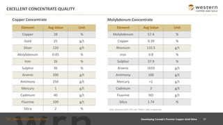 TSX : WRN I NYSE AMERICAN : WRN
EXCELLENT CONCENTRATE QUALITY
37
Copper Concentrate Molybdenum Concentrate
Note: based on 2021 PEA, see “Notes” slide in Appendix.
Element Avg Value Unit
Copper 28 %
Gold 25 g/t
Silver 120 g/t
Molybdenum 0.05 %
Iron 26 %
Sulphur 36 %
Arsenic 200 g/t
Antimony 250 g/t
Mercury 1 g/t
Cadmium 40 g/t
Fluorine 100 g/t
Silica 2 %
Element Avg Value Unit
Molybdenum 57.4 %
Copper 0.39 %
Rhenium 133.5 g/t
Iron 0.8 %
Sulphur 37.9 %
Arsenic 1659 g/t
Antimony 100 g/t
Mercury <1 g/t
Cadmium 3 g/t
Fluorine ND g/t
Silica 1.74 %
Developing Canada’s Premier Copper-Gold Mine
 