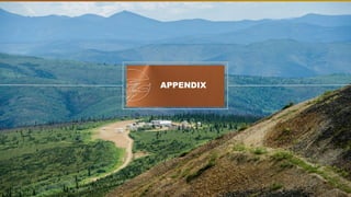 TSX | NYSE AMERICAN | WRN
APPENDIX
 