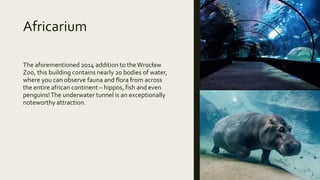 Africarium
The aforementioned 2014 addition to theWrocław
Zoo, this building contains nearly 20 bodies of water,
where you can observe fauna and flora from across
the entire african continent – hippos, fish and even
penguins!The underwater tunnel is an exceptionally
noteworthy attraction.
 