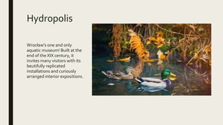 Hydropolis
Wrocław's one and only
aquatic museum! Built at the
end of the XIX century, it
invites many visitors with its
beutifully replicated
installations and curiously
arranged interior expositions.
 