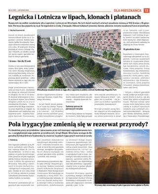 NR 41 (107) – LISTOPAD 2022
13
Rozpoczęło się wielkie zazielenianie ulicy Legnickiej i Lotniczej we Wrocławiu. Na tych dwóch ważnych arteriach posadzone zostaną aż 932 drzewa z 16 gatun-
ków. Pierwsza lipa pojawiła się na pl. Strzegomskim w środę, 2 listopada. Kilkaset kolejnych jesionów, klonów, platanów zostanie nasadzonych jeszcze jesienią br.
I Michał Kurowicki
Jeszcze tej jesieni posadzonych
zostanie kilkaset drzew na ul. Le-
gnickiej i Lotniczej. Kolejne nasa-
dzenia spółka Wrocławskie Inwe-
stycje zamierza zrealizować wiosną
2023 roku. W większości drzewa
przyjadą do stolicy Dolnego Ślą-
ska z Holandii, ze szkółki z ponad
100-letnim stażem. Specjaliści wy-
brali 16 różnych gatunków.
1 drzewo = tlen dla 10 osób
Drzewa to naturalne klimatyzatory
miasta, filtry gleby, wody i powie-
trza, które obniżają temperaturę,
zatrzymują deszczówkę, która ina-
czej trafiłaby do studzienek. Po-
prawiają jakość powietrza – jedno
drzewo wytwarza w ciągu roku tlen
wystarczający dla 10 osób.
Dzięki zrealizowanym inwesty-
cjom już teraz 81 proc. wrocławian
ma dostęp do zielonych terenów
w odległości do 300 m od domu.
W obszarze śródmiejskim te licz-
by są jeszcze wyższe, bo w bliskiej
odległości zieleń ma aż 9 na 10
mieszkańców Wrocławia. – Projekt
zazielenienia był długo analizowa-
ny przez ekspertów ze względu na
rozbudowane sieci podziemne oraz
inżynierię ruchu – wyjaśnia Kata-
rzyna Szymczak-Pomianowska,
dyrektor Departamentu Zrówno-
ważonego Rozwoju Urzędu Miej-
skiego Wrocławia.
– Na tych dwóch ulicach posadzi-
my w sumie 932 drzewa. Planuje-
my nasadzić na ul. Legnickiej 403,
a na Lotniczej – 529. Wcześniej
jednak musimy wymienić grunt,
a także kompleksowo przygoto-
wać miejsca pod nasadzenia, aby
drzewa miały komfortowe warunki
rozwoju – wyjaśnia Szymczak-Po-
mianowska.
Sadzenie potrwa do
pierwszych mrozów
Drzewa będą sadzone od listopada
do momentu, kiedy będą sprzyjały
temu warunki atmosferyczne. Co
ważne, kilkanaście drzew – tam,
gdzie jest to możliwe – ma po-
jawić się w bliskim sąsiedztwie
przystanków tramwajowych.
Wrocław prowadzi szereg dzia-
łań mających na celu zwiększenie
liczby zielonych obszarów. Już te-
raz zielone przestrzenie to ponad
10 tys. hektarów, czyli 41 proc.
powierzchni miasta. Zdecydowana
większość z tych terenów to par-
ki, zieleńce czy zieleń nadrzeczna,
które tworzą tzw. zieleń adaptacyj-
ną, czyli pozytywnie wpływają na
adaptację do zmian klimatu.
16 gatunków drzew
Konsultanci z Uniwersytetu Przy-
rodniczego zdecydowali, że na Le-
gnickiej i Lotniczej nasadzonych
zostanie aż 16 gatunków drzew,
wśród nich: klony polne Elsrijk,
lipy szerokolistne, jesiony wy-
niosłe, klony pospolite, brzozy
brodawkowate, lipy drobnolistne,
leszczyny tureckie, świdośliwy
Lamarcka, klony jawory, kasz-
tanowce czerwone, ambrowce
amerykańskie, lipy drobnolist-
ne Greenspire, klony pospolite
Schwedleri, platany klonolistne,
topole osiki Erecta.
– Decyzje o doborze gatunków
zostały podjęte po analizie istnie-
jących drzew w okolicy, tak aby
zieleń była spójna w krajobrazie
miasta. Wybrane zostały także
drzewa, które będą dobrze sobie
radziły w trudnych warunkach
miejskich, przy ruchliwych arte-
riach komunikacyjnych – tłumaczy
prof. Monika Ziemiańska, dendro-
log z Uniwersytetu Przyrodniczego.
Legnicka i Lotnicza w lipach, klonach i platanach
Wizualizacja nasadzeń drzew w ciągu ulicy Legnickiej w pobliżu centrum handlowego Magnolia Park
Po dwuletniej pracy przyrodników i opracowaniu przez nich koncepcji zagospodarowania tere-
nu, z uwzględnieniem jego walorów przyrodniczych, Urząd Miejski Wrocławia wystąpi do Re-
gionalnej Dyrekcji Ochrony Środowiska, by utworzyć na polach irygacyjnych rezerwat przyrody.
I Redakcja
Pola irygacyjne położone są w pół-
nocno-zachodniej części Wrocła-
wia i zajmują obszar ok. 1100 ha.
Dla porównania – to teren 10 razy
większy od parku Szczytnickiego.
Przez ponad sto lat pola irygacyjne
pełniły funkcję naturalnej oczysz-
czalni ścieków dla aglomeracji
Wrocławia. Były jedną z pierw-
szych w Europie mechaniczno-
-biologicznych oczyszczalni ście-
ków. Działały do 2015 roku, kiedy
to ich funkcję całkowicie przejęła
rozbudowana Wrocławska Oczysz-
czalnia Ścieków na Janówku.
Wieloletnie użytkowanie pól iry-
gacyjnych jako oczyszczalni ście-
ków umożliwiło wykształcenie
specyficznych zbiorowisk roślin-
nych i stworzyło korzystne wa-
runki do życia dla wielu gatunków
zwierząt, szczególnie dla ptaków.
Na ich obszarze występuje 206
cennych gatunków roślin, grzybów
i porostów oraz zwierząt.
Inwentaryzacja przyrodnicza obję-
ła szatę roślinną i wszystkie gru-
py zwierząt. Badania zrealizował
zespół naukowców związanych
z Wydziałem Nauk Biologicznych
Uniwersytetu Wrocławskiego we
współpracy z firmą AVEN. Pra-
ce inwentaryzacyjne wykazały, że
teren ten stanowi ważną osto-
ję zwierząt i roślin w środowisku
podmiejskim, zlokalizowanym
na obrzeżach dużego miasta.
O znaczeniu przyrodniczym i kli-
matycznym pól irygacyjnych de-
cydują przede wszystkim: duża
powierzchnia (ok. 1110 ha), są-
siedztwo doliny Odry – jednej
z największych rzek w kraju, sta-
nowiącej naturalny korytarz eko-
logiczny, sąsiedztwo doliny Wi-
dawy, bliskość Lasu Rędzińskiego
oraz brak oświetlenia i zagospoda-
rowania terenu w postaci zabudo-
wy wielkopowierzchniowej.
Prezydent Wrocławia, zgodnie
z procedurą, wystąpi z wnioskiem
do Regionalnej Dyrekcji Ochrony
Środowiska o ustanowienie na ob-
szarze pól irygacyjnych rezerwatu
przyrody o pow. 751 ha.
Pola irygacyjne zmienią się w rezerwat przyrody?
MACIEJ
KULCZYŃSKI
WystawęzdjęćprezentującychpolairygacyjnemożnaoglądaćwRynku
WROCŁAWSKIE
INWESTYCJE
DLA MIESZKAŃCA
 