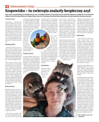 BEZPŁATNY BIULETYN INFORMACYJNY URZĘDU MIEJSKIEGO WROCŁAWIA
16
Szopy mają tu swoją zjeżdżalnię, kury zakumplowały się z emu i mundżakami chińskimi. Jest też kangurzyca Lila, szop Heniek znaleziony na wybiegu lwa w zoo i fretka Kiwi
odebrana z fermy futrzarskiej. Weterynarz Grzegorz Dziwak stworzył w Kryształowicach pod Wrocławiem Szopowisko, niezwykłe miejsce dla zwierząt po przejściach.
I Mariola Szczyrba
Kryształowice - niewielka wieś
w gminie Sobótka. To tu przy ul.
Leśnej Grzegorz Dziwak, wetery-
narz z Wrocławia, stworzył Funda-
cję Szopowisko i niezwykły azyl dla
zwierząt, które z różnych powodów
nie mogą już żyć na wolności. Dziś
jest ich tu ponad 200, w tym aż 66
szopów. Każde zwierzę ma jakąś
historię. Trafiły tu chore, porzuco-
ne, z ranami po wypadkach, ode-
brane z pseudohodowli albo ferm
futrzarskich. Znalazły bezpieczny
azyl.
Od dziecięcych lat
- Zwierzęta trafiają tutaj na za-
wsze. Głównie skupiamy się na
gatunkach inwazyjnych, których
nie można hodować, albo chronio-
nych, które nie mogą już wrócić na
wolność. Tym też się różnimy od
ośrodka rehabilitacji, którego celem
jest leczenie i wypuszczanie zwie-
rząt – wyjaśnia Grzegorz Dziwak.
Twórca azylu pochodzi z Libią-
ża koło Krakowa. Do Wrocławia
przyjechał na studia (weteryna-
ria na Uniwersytecie Przyrodni-
czym) i tak już został. Skąd pasja
do zwierząt? – Sam nie wiem, za-
wsze do nich lgnąłem. Od dziecka
miałem w domu psy, koty, hodo-
wałem patyczaki, modliszki, węże
– mówi. – Potem na studiach we
Wrocławiu wynajmowałem dwupo-
kojowe mieszkanie na Kozanowie.
W jednym pokoju mieszkałem ja,
w drugim moje zwierzaki – dodaje
ze śmiechem.
Niezła menażeria
Piętrowy dom przy ul. Leśnej, wo-
kół pola. Przy furtce wita nas do-
nośnie suczka Foxi, oddana przez
poprzednich właścicieli, a zaraz
za nią grupa buldożków z Bezą na
czele. I jeszcze Łysa, spokojna, nie-
mal ślepa, 14-letnia suczka, ode-
brana alkoholikom. Za psami bie-
gnie Mamut, zwany też Mumkiem
(mara patagońska, w naturze wy-
stępuje na stepach Ameryki Połu-
dniowej). Do azylu trafił z minizoo,
bo został odrzucony przez matkę.
– Uwaga, on uwielbia sznurówki! –
śmieje się weterynarz.
- Mamy szopy, mundżaki chiń-
skie, norki amerykańskie (właści-
wie wizony), fretki, tchórza, dwa
skunksy, węże, pająki, wiele papug,
kury, króliki, alpaki, owce, kangu-
ry. Długo by wymieniać i na pew-
no o kimś zapomnę. W sumie już
ponad 200 zwierząt. Cały czas się
rozbudowujemy, bo zapotrzebo-
wanie jest ogromne. Budujemy
kolejne woliery, żeby
móc przyjmować
kolejne szopy.
Potrzebujemy
funduszy na
rozbudowę
azylu i po-
większenie
d z i a ł k i .
Prowadzi-
my zbiórki
na portalu ra-
tujemyzwierzaki.
pl oraz bezpośrednie
wpłaty na konto.
To pasja, nie praca
Aż trudno uwierzyć, że twórca Szo-
powiska sam jest w stanie ogarnąć
tyle zwierząt, pracując również na
etacie w klinice weterynaryjnej we
Wrocławiu. - Ferajnę póki co jakoś
ogarniam. Mówię, że to drugi etat
- jak nie pracuję w klinice, to pra-
cuję przy zwierzakach, choć ciężko
nazwać to pracą, bo robię po prostu
to, co zawsze chciałem robić. No
i nikt mi
za to
nie płaci (śmiech). To moja pasja
(tak samo jak praca weterynarza),
więc nie narzekam. Schody po-
jawiają się w nieprzewidzianych
sytuacjach, jak np. nagła choroba
któregoś ze zwierzaków, wtedy
trzeba wyczarować dodatkowe po-
kłady energii i czasu, żeby
sprawę ogarnąć, ale
póki co się udaje.
M a d o b r e
w s p a r c i e .
M ó w i , ż e
bez Sylwka,
wicepreze-
sa Fundacji
Szopowisko,
nigdy nie zdecy-
dowałby się na jej
założenie. Zawsze też
może liczyć na Olę i Tom-
ka, którzy sami prowadzą Dom
Tymczasowy u Siedmiu Kotów.
Jest jeszcze Kuba, kolega z kliniki,
który czasem przejmuje pieczę nad
zwierzyńcem. - To dzięki niemu
udaje mi się czasem wyskoczyć
na krótki urlop – mówi pan
Grzegorz.
Zaszopowany
Szopowisko najbar-
dziej znane jest
oczywiście z szo-
pów. Na po-
czątku były
d w a ,
d z i ś
jest ich tu 66. - Dwie siostry -
Szara i Czarna, której już z nami
nie ma, trafiły do mnie w 2016
roku z wrocławskiej Ekostraży –
opowiada pan Grzegorz. – Jak je
poznałem, zaszopowało mnie to-
talnie. W zeszłym roku, po zmia-
nie prawa, które zakazuje hodowli
szopów i nakazuje je - jako gatu-
nek inwazyjny – albo przekazać
do azylu, albo uśmiercić, postano-
wiłem stworzyć miejsce, którego
wtedy w Polsce jeszcze nie było.
Szopy mieszkają w dwóch wolie-
rach. W pierwszej starszyzna z ne-
storką Szarą na czele, w drugiej
młodzież. Mają tu swoje hamaki,
domki, huśtawki, tory przeszkód.-
Sękuś trafił do nas po potrąceniu
przez samochód, ktoś znalazł go
w rowie przy drodze; Łapek wpadł
do żywołapki, miał zmiażdżone
ciało; Heńka znaleźli na wybiegu
lwa w gdańskim zoo, ukrywał się
na czubku drzewa, ktoś go tam
chyba podrzucił - wymienia
Grzegorz Dziwak.
Niedawno do szopiej ferajny dołą-
czyły dwie nowe koleżanki - Bon-
nie i Clyde, dwie siostry znalezione
przy zabitej matce. Zostały ocalone
w 2020 roku i trafiły do dobrego
miejsca, ale niestety nowa ustawa
jest bezwzględna i opiekunowie
stanęli przed wyborem – albo pod-
dadzą je eutanazji, albo oddadzą do
azylu. Tak trafiły do Kryształowic.
Spirit animal
- Szop to takie moje zwierzę du-
chowe - spirit animal – mówi
Grzegorz Dziwak. I wymienia ze
śmiechem cechy, które łączą go
z szopami: - Szopy dużo śpią, dużo
broją, jedzą śmieciowe jedzenie
i mają worki pod oczami – jak ja.
To bardzo inteligentne zwierzęta.
Nie sposób ich nie lubić, jak ktoś
je już pozna. Świetnie dogadują się
z ludźmi, mają w sobie troszeczkę
psa, troszeczkę kota. Dużo broją,
na pewno nie jest to zwierzątko
domowe. Ale jako zwierzę - przy-
jaciel, jeśli ma się do tego warunki
takie, jak my im tu stwarzamy, to
są to cudowne zwierzęta.
W wolierze szopy wchodzą na nas,
zaglądają do nosa, uszu i do kie-
szeni. - Uważajcie, szopy są bardzo
ciekawskie i mają bardzo zwinne
rączki. Nieraz już podkradły komuś
klucze albo telefon - śmieje się pan
Grzegorz.
Na sąsiednim wybiegu przechadza-
ją się mundżaki chińskie – Pacz-
ka i Znaczek, które przyjechały tu
z okolic Bydgoszczy. Ktoś wysłał je
pocztą w paczce z napisem „żywe
ptaki”. Kiedy przesyłka zaczę-
ła przeciekać, pracownik poczty
ją otworzył, a w środku ujrzał…
małe sarny. Kura Bożena mieszka
w garażu i lubi przechadzać się po
siedzibie fundacji. W jednym z po-
kojów mieszka jeżyca Opolanka,
która jest jeszcze za młoda, żeby
ją wypuścić na wolność. Surykatki
dzielą pokój ze skunksem o imieniu
Tafi, który nie jest jeszcze przysto-
sowany do życia na dworze. Za to
po mistrzowsku żebrze w kuchni
o jedzenie, konkurując z psami.
W siedzibie Fundacji jest też pokój
z wężami, pająkami i Brutusem –
łasicą, najmniejszym drapieżni-
kiem świata, który ma tu zjeżdżal-
nie z rur od podłogi aż po sufit.
› Film i artykuł na wroc.city/
Szopowisko
WROCŁAWIANIE Z PASJĄ
Szopowisko – tu zwierzęta znalazły bezpieczny azyl
Lekarz weterynarii Grzegorz
Dziwak od dziecka pasjonował się
zwierzętami, a teraz ratuje im życie
w azylu w Kryształowicach pod Sobótką
FUNDACJA
SZOPOWISKO
Papugi z Szopowiska
 