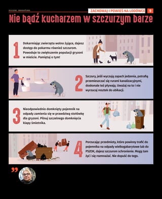 NR 13 (126) – KWIECIEŃ 2023
9
Szczury, jeśli wyczują zapach jedzenia, potrafią
przemieszczać się rurami kanalizacyjnymi,
doskonale też pływają. Uważaj na to i nie
wyrzucaj resztek do ubikacji.
Porzucając przedmioty, które powinny trafić do
pojemnika na odpady wielkogabarytowe lub do
PSZOK, dajesz szczurom schronienie. Mogą tam
żyć i się rozmnażać. Nie dopuść do tego.
Dokarmiając zwierzęta wolno żyjące, dajesz
dostęp do pokarmu również szczurom.
Powoduje to zwiększenie populacji gryzoni
w mieście. Pamiętaj o tym!
Nieodpowiednio domknięty pojemnik na
odpady zamienia się w prawdziwą stołówkę
dla gryzoni. Pilnuj szczelnego domknięcia
klapy śmietnika.
Nie bądź kucharzem w szczurzym barze
”
Czy wiesz, że nieświadomie możesz pomagać szczurom, żyjącym w mieście, dotrzeć do jedzenia i schronić się? Gdy te zwierzęta mają zapewnione dobre warunki
do życia, szybko się rozmnażają, a mogą to robić przez cały rok. Deratyzacja nie wystarczy, jeśli pokarm leży dosłownie na ulicy, a miękka kanapa stojąca koło
śmietnika wprost prosi się o zamieszkanie. Jak możemy zapobiegać mnożeniu się szczurów? Wdrażając w codziennym życiu cztery proste kroki. Oto one!
Wszelkie doniesienia o tym, że we Wrocławiu lub jakimkolwiek innym
mieście na jednego mieszkańca przypada jeden szczur to wróżenie
z fusów. Po prostu bardziej je widać, bo częściej wychodzą ze swoich
schronień, choćby dlatego, że zrobiło się cieplej. Mają też okres godowy.
Ze szczurami walczą wszystkie miasta na świecie, a one żyją blisko nas,
bo podajemy im jedzenie, jak na tacy: nie zamykamy kubłów, wykłada-
my jedzenie dla ptaków, kotów… Szczury są wszystkożerne, więc każ-
dy pokarm, do jakiego damy im dostęp, będzie im służyć. W miastach
mają też mnóstwo miejsc, gdzie mogą zakładać kolonie: opuszczone
budynki, piwnice, system kanalizacji. Dlatego potrzebne są działania
wyprzedzające, ograniczające szczurom dostęp do jedzenia, wody i sie-
dlisk, a nie tylko reagowanie na już istniejący problem.
By tak się stało, konieczne będzie m.in. przeprowadzenie akcji eduka-
cyjnych, przekonujących mieszkańców i restauratorów, że wyrzuca-
jąc jedzenie albo nie zamykając kubłów, sami zapraszamy szczury do
naszego życia. Takie działania są już podejmowane, jest o nich mowa
w nowym Regulaminie Utrzymania Czystości i Porządku na Terenie
Wrocławia, który zajmuje się też takimi kwestiami, jak zwiększenie
częstotliwości obowiązkowej deratyzacji w centrum oraz poszerzenie
katalogu miejsc, które ona obejmie.
dr Edyta Wincewicz,
Uniwersytet Przyrodniczy
we Wrocławiu
ZACHOWAJ I POWIEŚ NA LODÓWCE
 