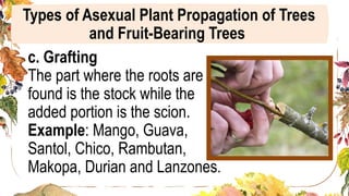 GRADE_6_QTR1_WEEK_3_TLE_AGRICULTURE.pptx