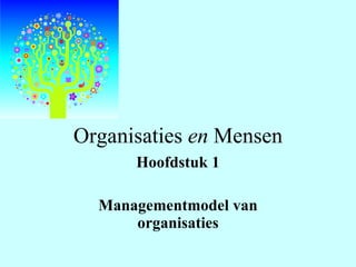 Organisaties  en  Mensen Hoofdstuk 1 Managementmodel van organisaties 