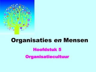 Organisaties  en  Mensen Hoofdstuk 5 Organisatiecultuur 