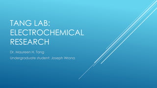 TANG LAB:
ELECTROCHEMICAL
RESEARCH
Dr. Maureen H. Tang
Undergraduate student: Joseph Wrona
 