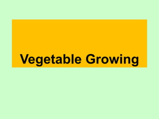 Vegetable Growing
 