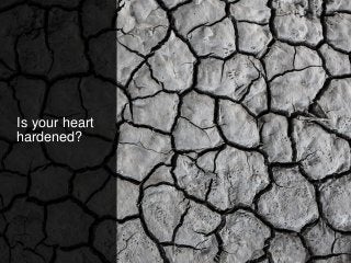 Is your heart
hardened?
 