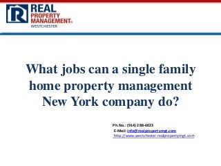 What jobs can a single family
home property management
New York company do?
Ph.No.: (914) 288-6023
E-Mail: info@realpropertymgt.com
http://www.westchester.realpropertymgt.com

 