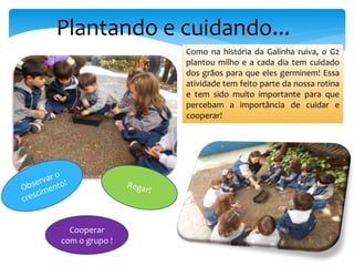 Plantando e cuidando...
Como na história da Galinha ruiva, o G2
plantou milho e a cada dia tem cuidado
dos grãos para que eles germinem! Essa
atividade tem feito parte da nossa rotina
e tem sido muito importante para que
percebam a importância de cuidar e
cooperar!
Cooperar
com o grupo !
 