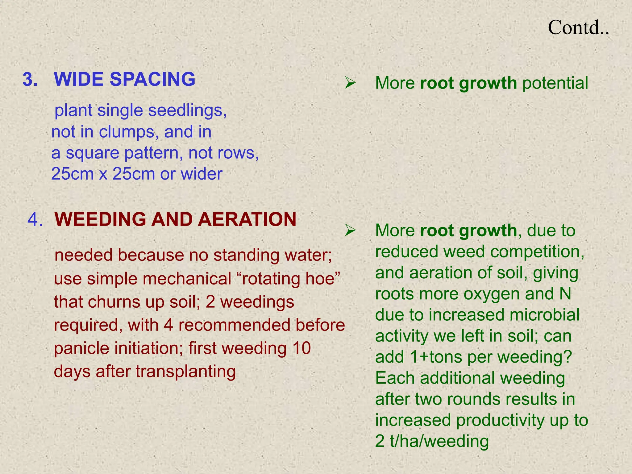 Contd..
3. WIDE SPACING
plant single seedlings,
not in clumps, and in
a square pattern, not rows,
25cm x 25cm or wider
4. WEEDING AND AERATION
needed because no standing water;
use simple mechanical “rotating hoe”
that churns up soil; 2 weedings
required, with 4 recommended before
panicle initiation; first weeding 10
days after transplanting
 More root growth potential
 More root growth, due to
reduced weed competition,
and aeration of soil, giving
roots more oxygen and N
due to increased microbial
activity we left in soil; can
add 1+tons per weeding?
Each additional weeding
after two rounds results in
increased productivity up to
2 t/ha/weeding
 