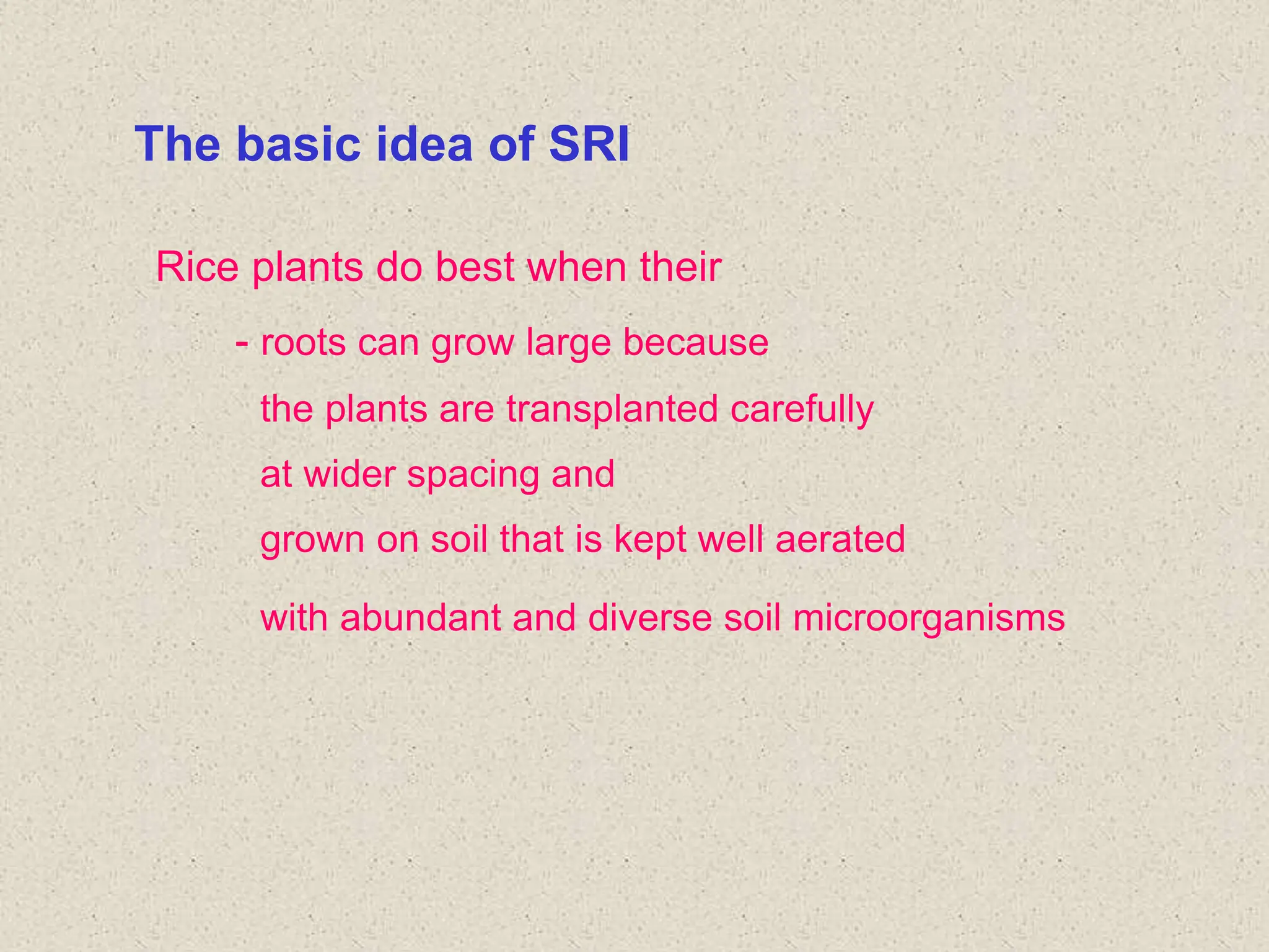 The basic idea of SRI
Rice plants do best when their
- roots can grow large because
the plants are transplanted carefully
at wider spacing and
grown on soil that is kept well aerated
with abundant and diverse soil microorganisms
 