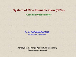 System of Rice Intensification (SRI) -
“Less can Produce more”
Dr. A. SATYANARAYANA
Director of Extension
Acharya N. G. Ranga Agricultural University
Rajendranagar, Hyderabad
 