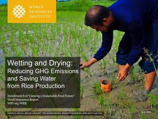 Wetting and Drying: 
Reducing GHG Emissions 
and Saving Water 
from Rice Production 
Installment 8 of “Creating a Sustainable Food Future” 
World Resources Report 
WRI.org/WRR 
Photo: IRRI. 
TAPAN K. ADHYA, BRUCE LINQUIST, TIM SEARCHINGER, REINER WASSMANN, AND XIAOYUAN YAN 
 